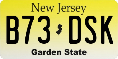 NJ license plate B73DSK