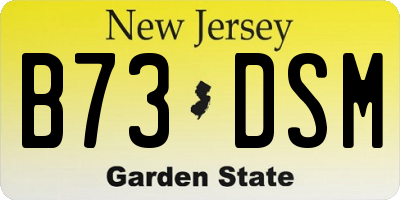 NJ license plate B73DSM