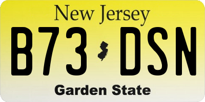 NJ license plate B73DSN