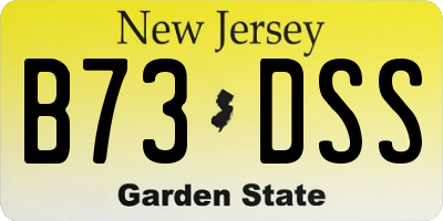 NJ license plate B73DSS