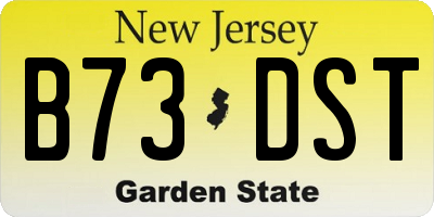 NJ license plate B73DST