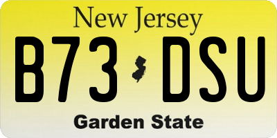 NJ license plate B73DSU
