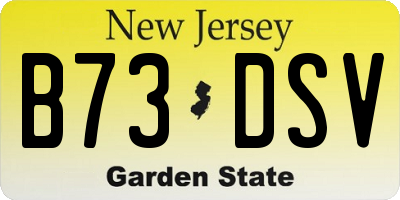 NJ license plate B73DSV