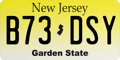NJ license plate B73DSY