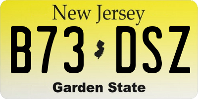 NJ license plate B73DSZ