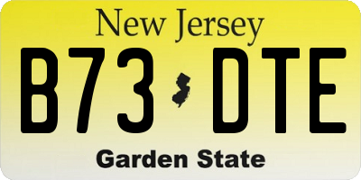 NJ license plate B73DTE