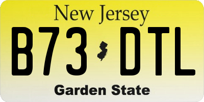 NJ license plate B73DTL