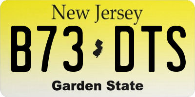 NJ license plate B73DTS