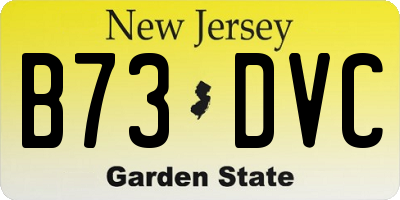 NJ license plate B73DVC