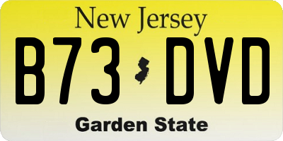 NJ license plate B73DVD