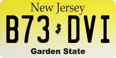 NJ license plate B73DVI