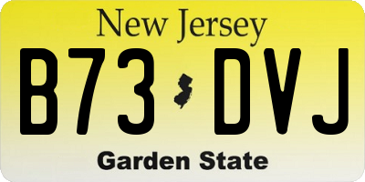 NJ license plate B73DVJ