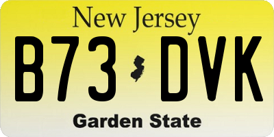 NJ license plate B73DVK