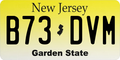 NJ license plate B73DVM