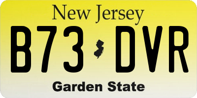 NJ license plate B73DVR