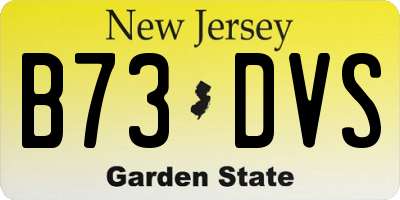 NJ license plate B73DVS