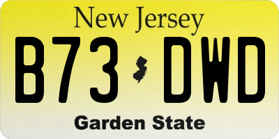 NJ license plate B73DWD