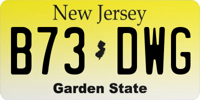 NJ license plate B73DWG