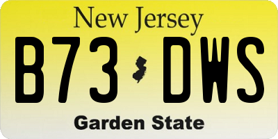 NJ license plate B73DWS