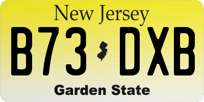 NJ license plate B73DXB