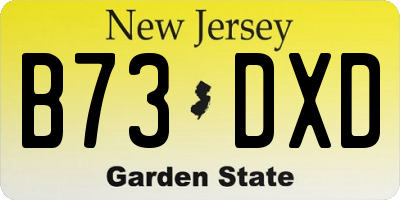 NJ license plate B73DXD