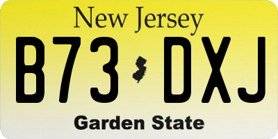 NJ license plate B73DXJ