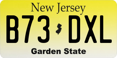 NJ license plate B73DXL