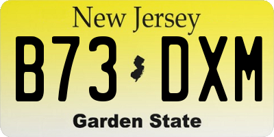 NJ license plate B73DXM