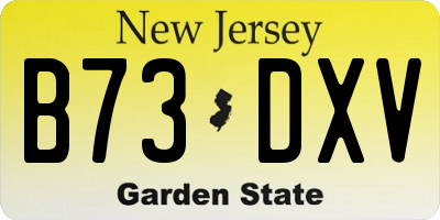 NJ license plate B73DXV