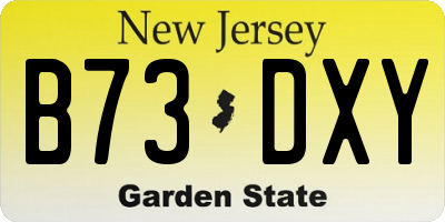 NJ license plate B73DXY