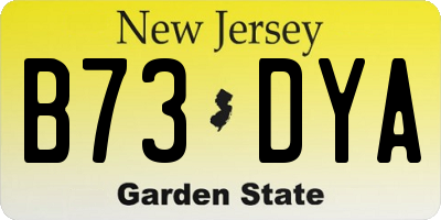 NJ license plate B73DYA
