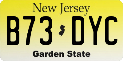 NJ license plate B73DYC