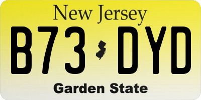 NJ license plate B73DYD
