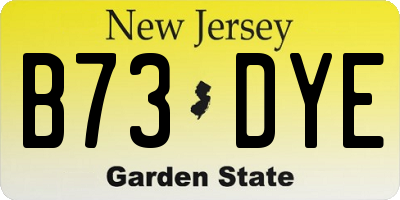 NJ license plate B73DYE
