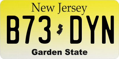 NJ license plate B73DYN
