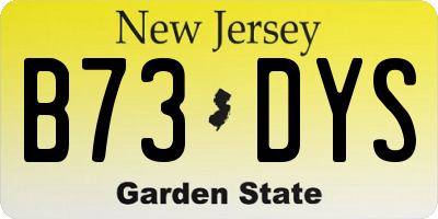 NJ license plate B73DYS