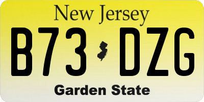 NJ license plate B73DZG