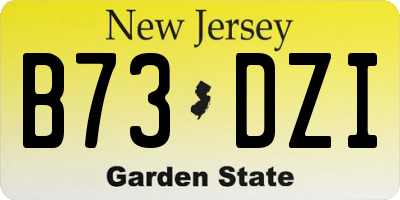 NJ license plate B73DZI