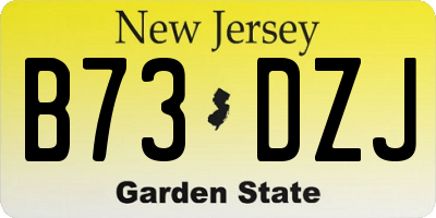 NJ license plate B73DZJ
