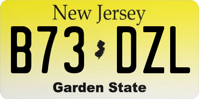 NJ license plate B73DZL