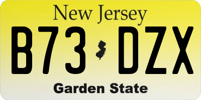 NJ license plate B73DZX