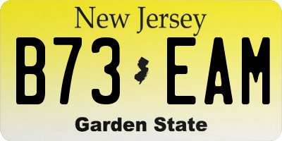 NJ license plate B73EAM