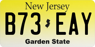 NJ license plate B73EAY