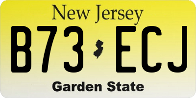 NJ license plate B73ECJ