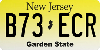 NJ license plate B73ECR
