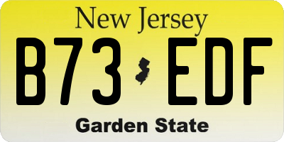 NJ license plate B73EDF