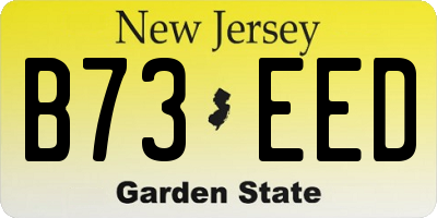 NJ license plate B73EED
