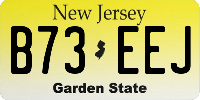 NJ license plate B73EEJ