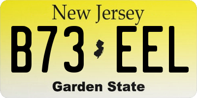 NJ license plate B73EEL