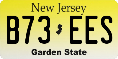 NJ license plate B73EES
